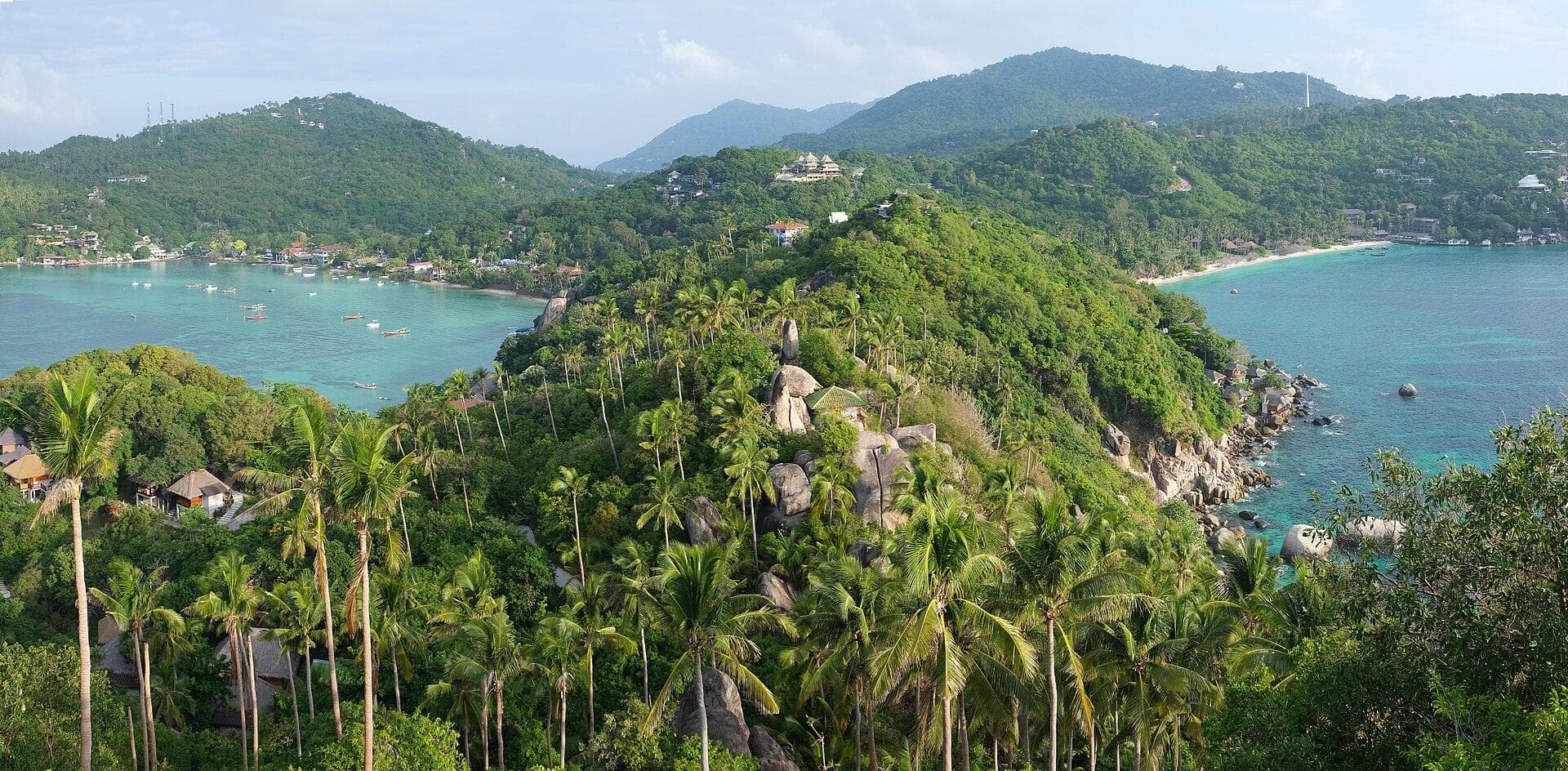 The view from the John-Suwan viewpoint on Ko Tao: a granite ridge thick with coconut palms dividing two turquoise bays, small boats moored off the beach on the left, resort roofs scattered through the jungle and green hills running back to the horizon.